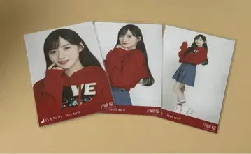 노기산 46 생사진 가와사키 사쿠라 칼리지 컴플리트