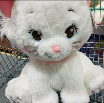 [미사용 새상품] 코스트코 멋쟁이 캣 봉제 인형 담요