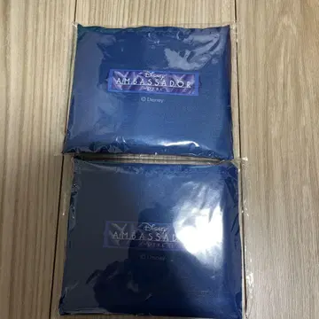 안바사더 호텔 에코백