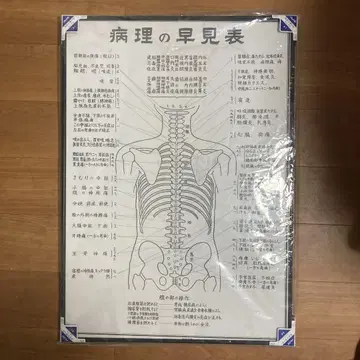 병리의 조견표 A1 사이즈 포스터