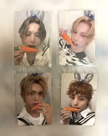 XLOV 미니레코드 특별 트레이딩 카드 4장 세트