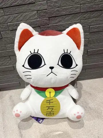익명 배송  단다단  터보 바바아  초대 고양이  인형  배낭