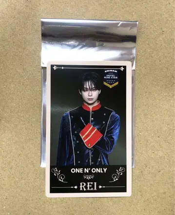 에비라이 2025 REI 트레이딩 카드