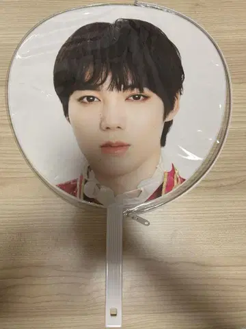코이케 미사키 부채 생사진