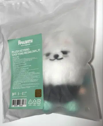 공식 TXT PPULBATU 스빈 영몬 플래시 키링