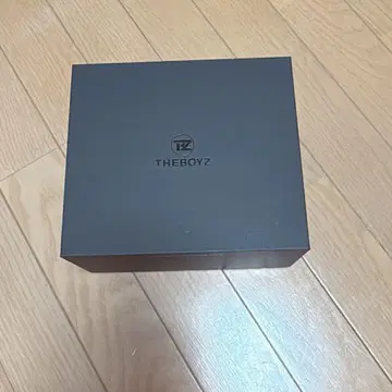 THE BOYZ 드보이즈 펜라이트