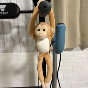 매달린 원숭이 인형