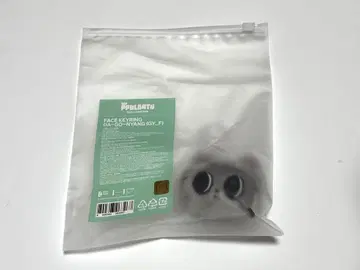 공식 TXT PPULBATU 태현 다고냥 페이스 키링