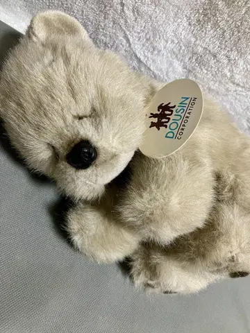 동심 곰 봉제 인형 잠자는 아기 곰