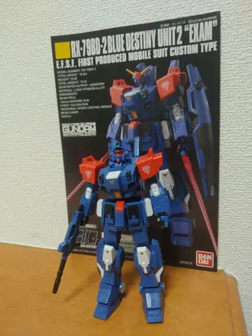 1/144 HG 블루 디스티니 2호  잔해  완성  동시 300엔 할인