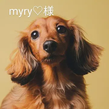 myry 님