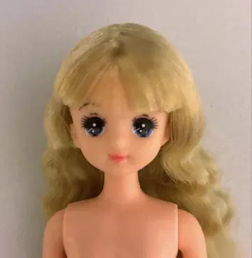 리카짱 친구 풀루룬짱