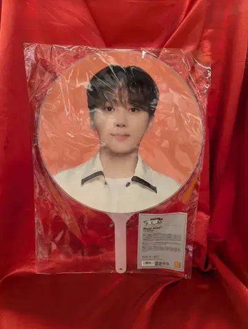 SEVENTEEN 2024 다시 일본으로! SEUNGKWAN 이미지 피켓