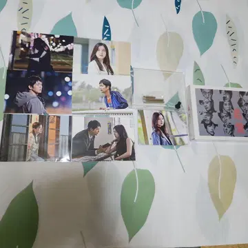최애 DVD BOX (첫 구매 혜택 포함)