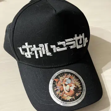 포켓몬 파괴광선 캡