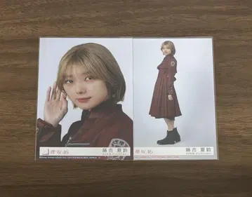후지야시 카린 IWTC 봉입 생사진 요리 히키