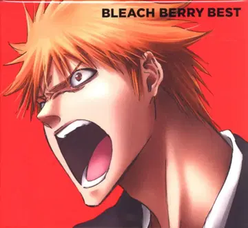 BLEACH BERRY BEST