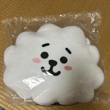BT21 RJ