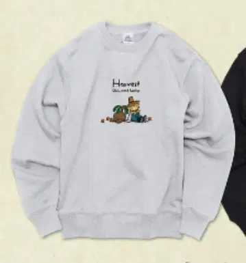04 Limited Sazabys 스웨터 harvest
