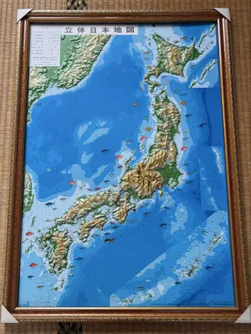 3차원 일본 지도  일본 지도  3차원 지도