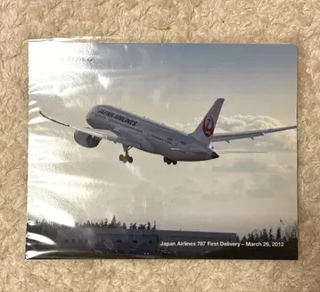 JAL 보잉 787 사진 JA825J