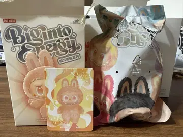 Big Into Energy 라부부