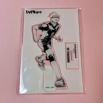 하이큐!! 센다이 관광 특사 취임 기념 아크스타 월도리 호타루