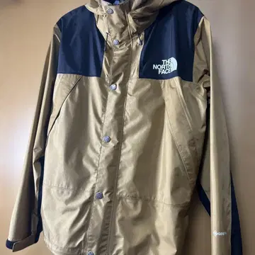 THE NORTH FACE 마운틴 후드티