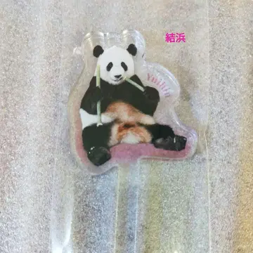 유이하마 마들러 어드벤처월드