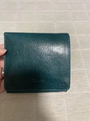 다코타 반비나 터키석 두겹 지갑