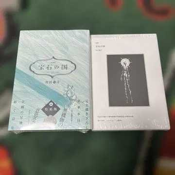 보석의 나라 특별판 13권, 도해 세트