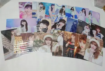 니지유 미이히 런트레