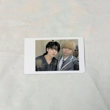 판다 드래곤 나기 아즈 CS 하피카
