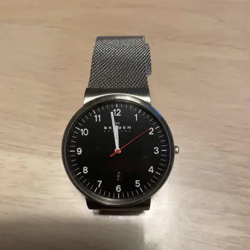 SKAGEN SKW6051 블랙