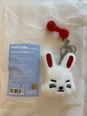 SEVENTEEN 에스쿱스 MINITEEN 팝업 키링