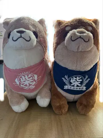 시바견 봉제 인형 세트