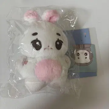 riize 원빈 봉제 인형 마스터