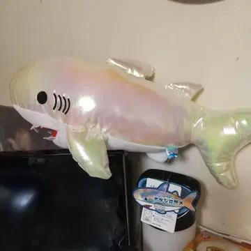 오로라 흰점 상어