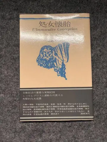 처녀 잉태 앙드레 브르통 폴 엘뤼아르 사상사