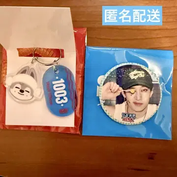 스트레이키즈 스키즈 팝업 방찬 캔 배지 키링 세트