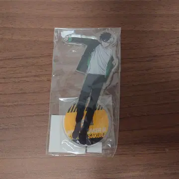 사쿠라 요코 윈블레 전시회 아크스타