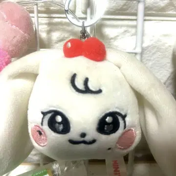 IVE MINIVE 워니 CHERRY 페이스 키링 키홀더