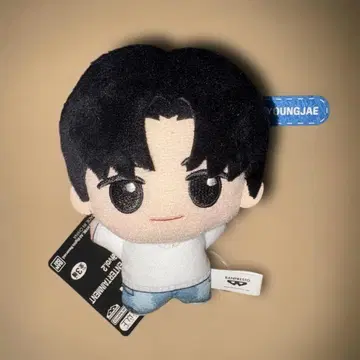 Youngjae 봉제 인형 쪼그만 인형 영재 TWS