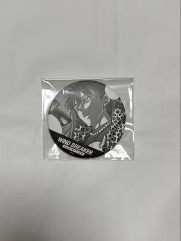 윈드 브레이커 원작 랜덤 컷 캔 배지 불타는 돌 화살