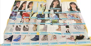 히가시야마 46 생사진 세트 판매 히라오카 카이게츠 단품 판매 가능