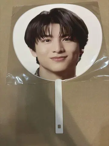 초특급 부채 할 에비라이