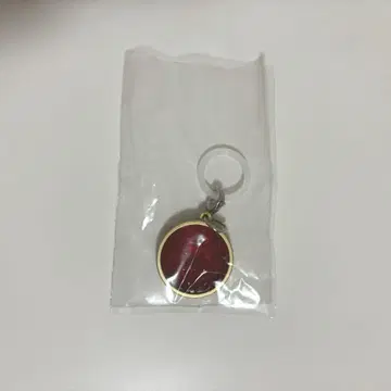 가면라이더 표식 액세서리 타카 메달