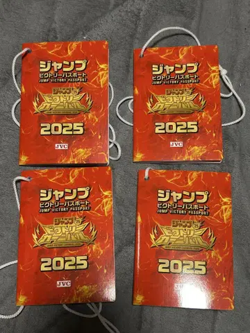 점프 빅토리 여권 2025 점프 빅토리 카니발 4