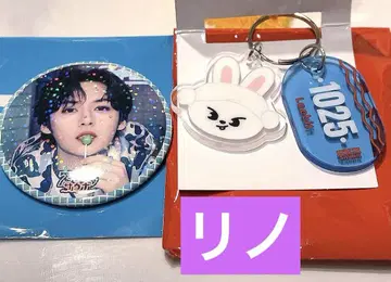 스트레이키즈 스키즈 팝업 랜덤 캔 배지 키링 리노