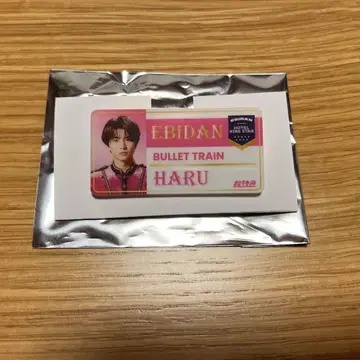 에비라이 카시와기 하루 네임 배지 초특급